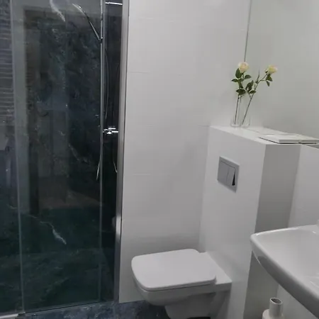 Apartman Nr 2 Close To Medicover And Paley Institute *